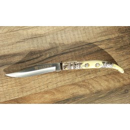 Coltello tascabile...